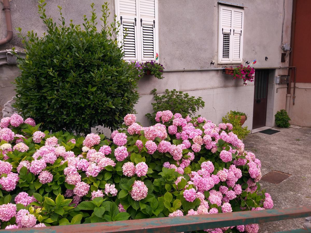A Casa Di Silvy Villa Trieste Exterior photo